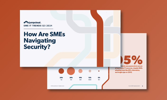 How Are SMEs Navigating Security?