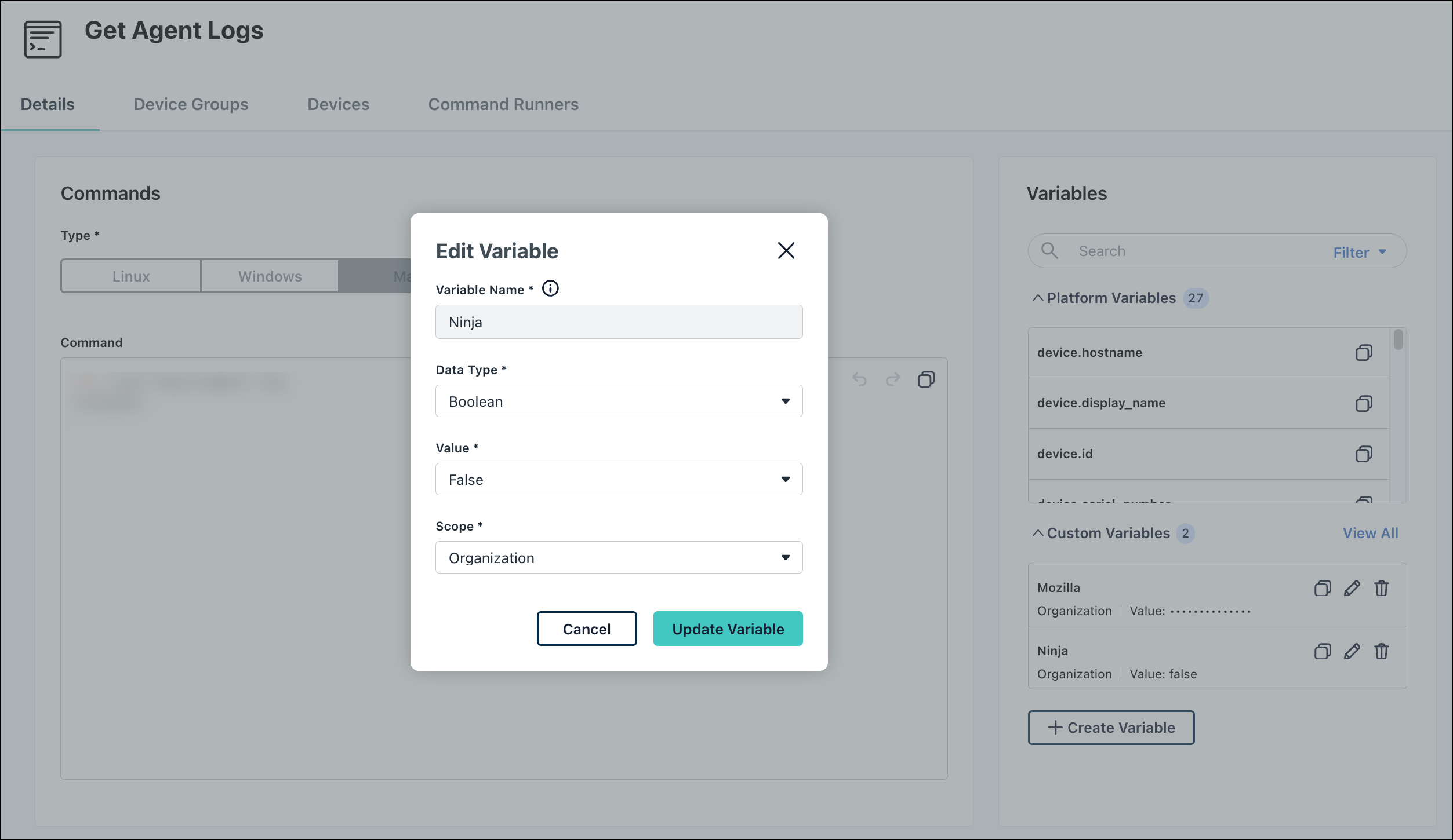 This image dispalys the Edit variable page.