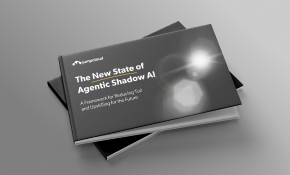 This Is The New State Of Agentic Shadow AI